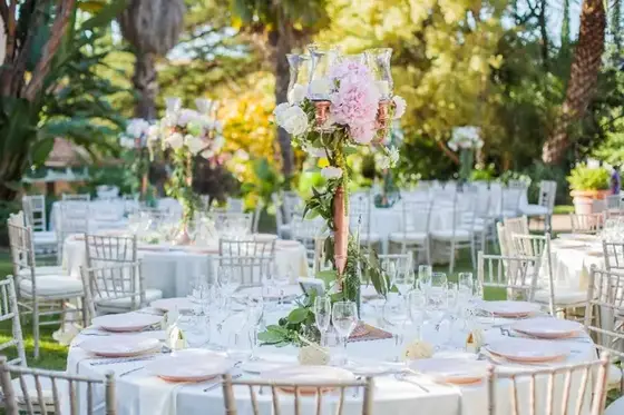 Alejandra Catering