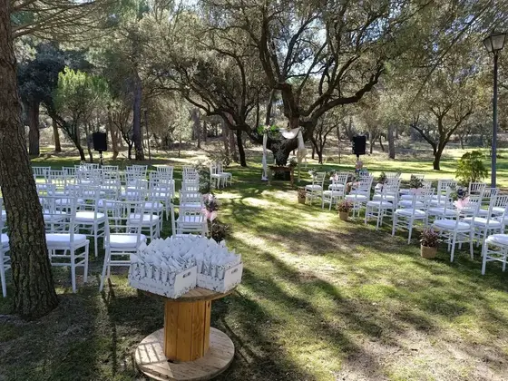 Avila Eventos