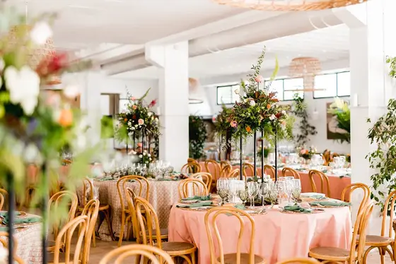 Catering Cinco, S.L.