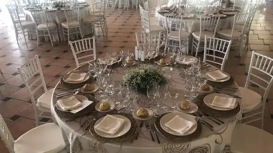 Grupo Sercolu