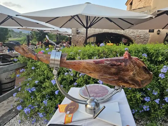 Jamonero on Tour - Cortador de Jamón