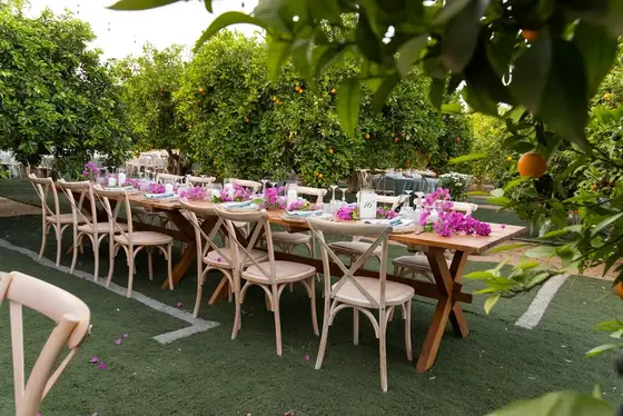 Lala Catering