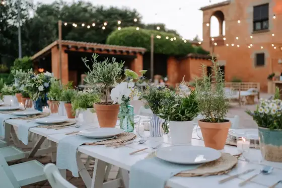 Original Catering